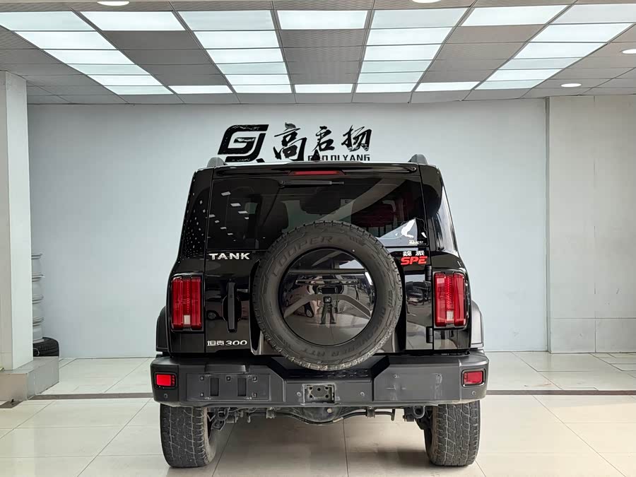 Tank 500 New Energy 2024 immagine di auto #31