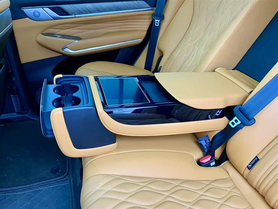 Tank 500 New Energy 2024 immagine di auto #31