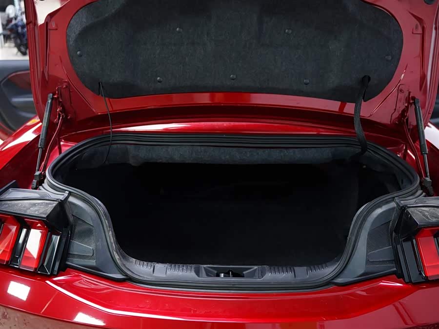 Ford Mustang صورة سيارة #31