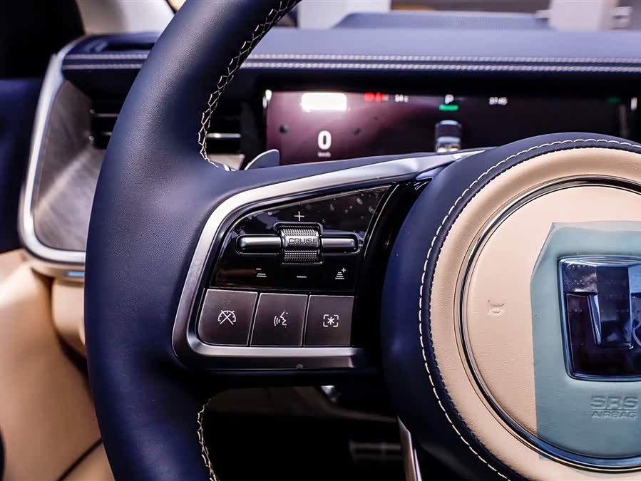 Tank 500 New Energy 2025 #31 Tank 500 New Energy 2025 car image #31