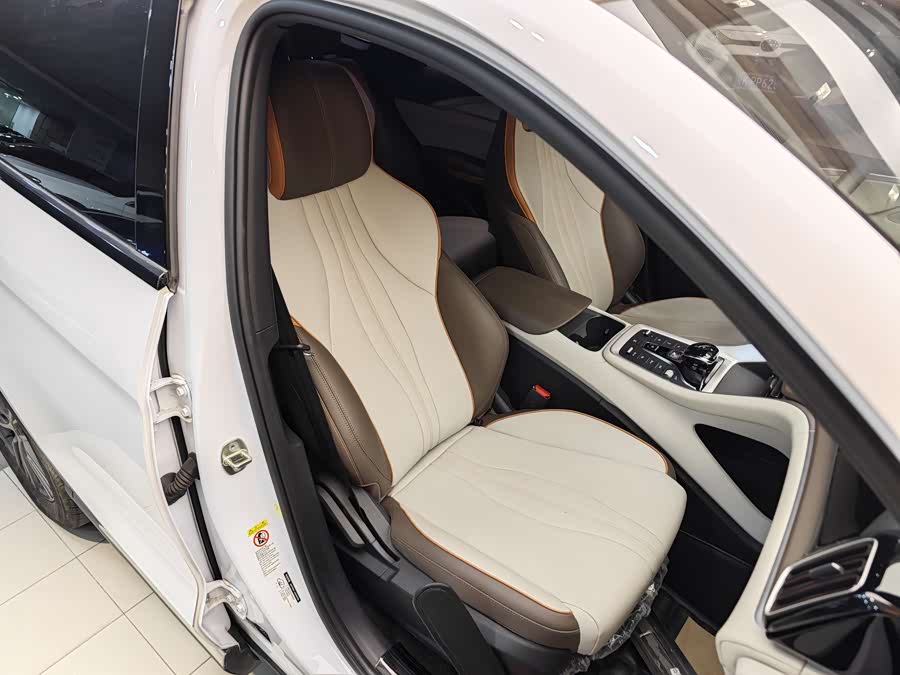 BYD Song Pro New Energy 2022 car image #31