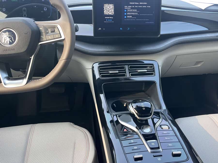 BYD Qin Plus 2024 immagine di auto #31