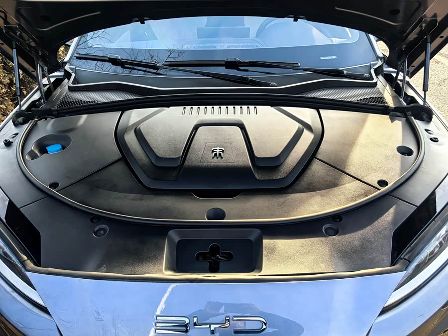 BYD Song Plus New Energy 2023 #31 BYD Song Plus New Energy 2023 car image #31