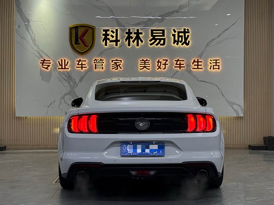 Ford Mustang 2019 #31 Ford Mustang 2019 car image #31