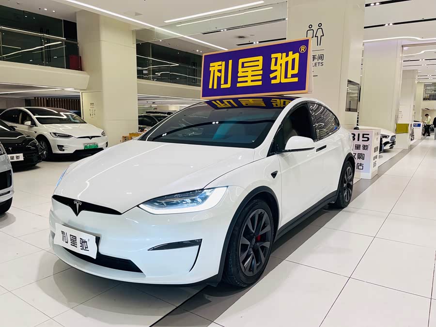Tesla Model X 2023 car image #31