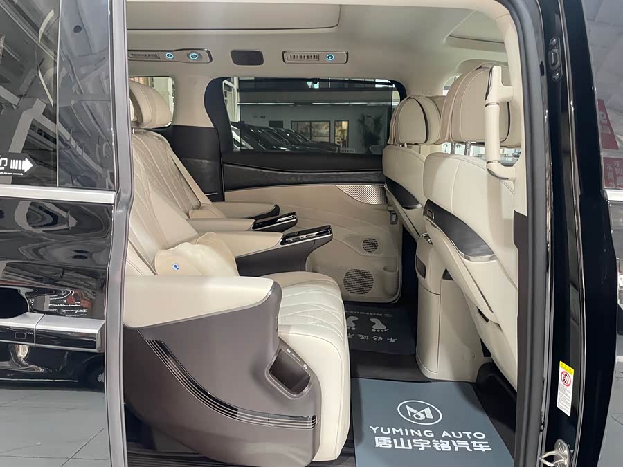 Denza D9 2025 imagen de coche #31