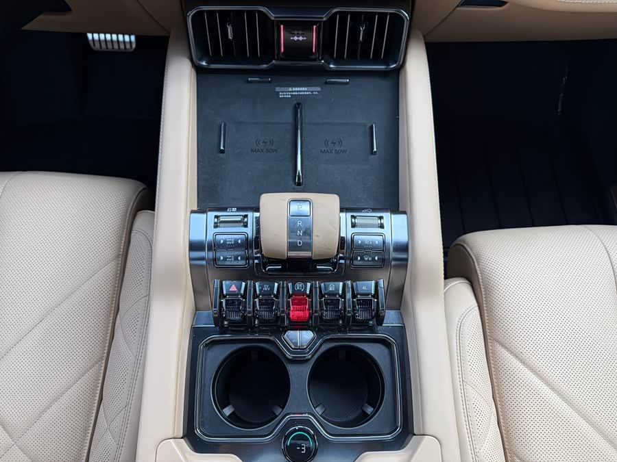 FangChengBao Leopard 8 2024 car image #31