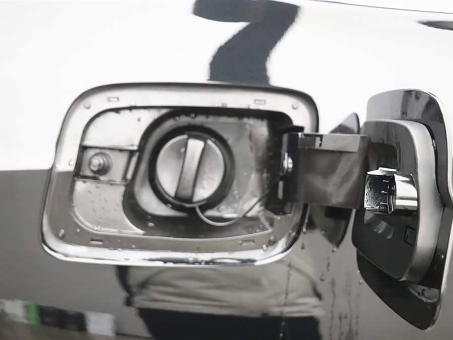 HongQi H9 2020 car image #31