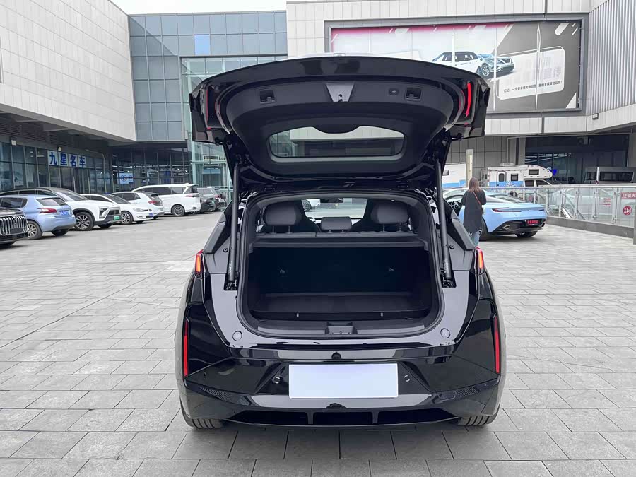 极氪 极氪X 2024 汽车图片 #31