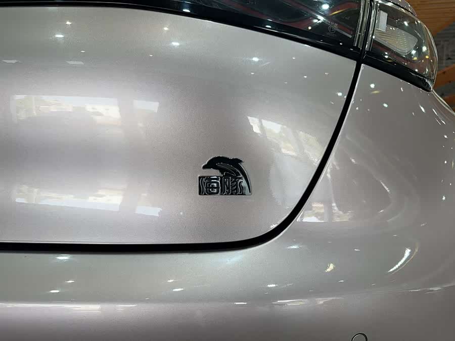 BYD Dolphin 2022 #31 BYD Dolphin 2022 immagine di auto #31