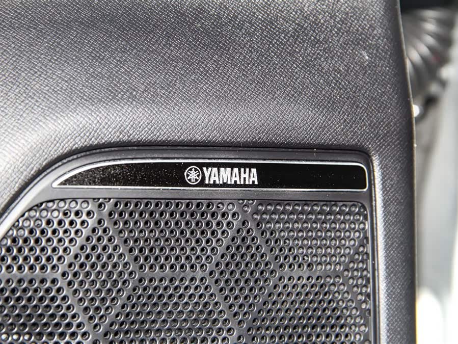 GAC Trumpchi E9 2024 car image #31