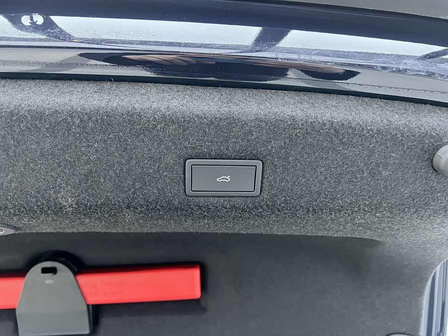 Volkswagen Magotan 2024 car image #31