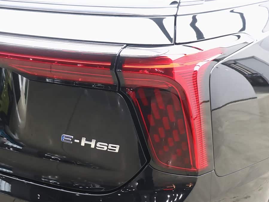 HongQi E-HS9 2023 immagine di auto #31
