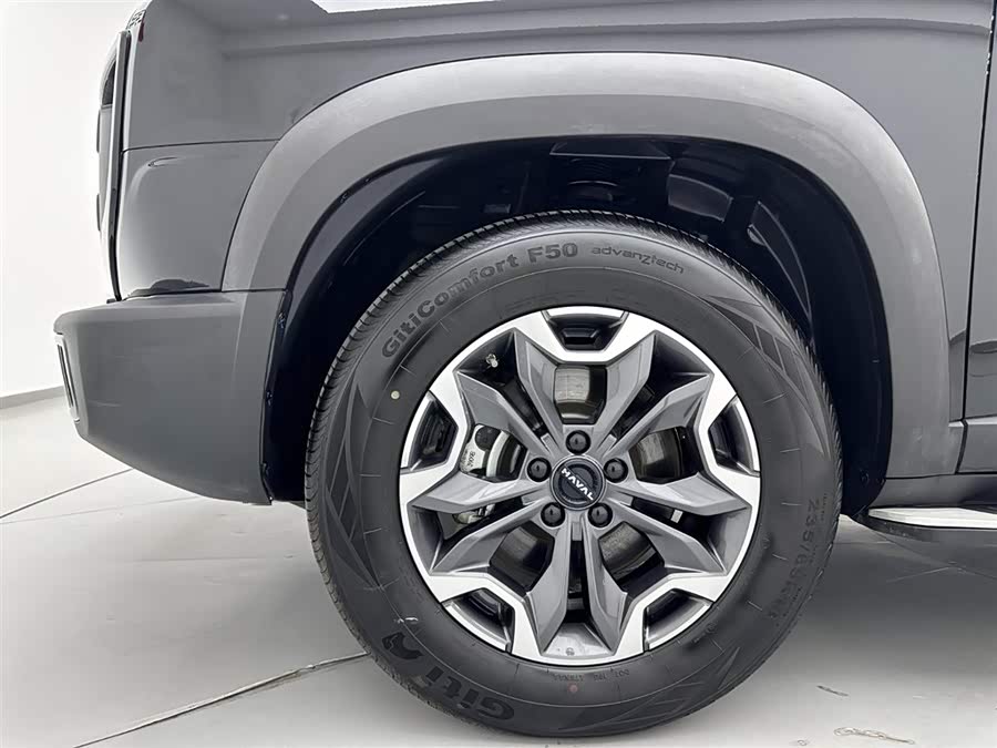 Haval X Dog / Dargo 2023 car image #31