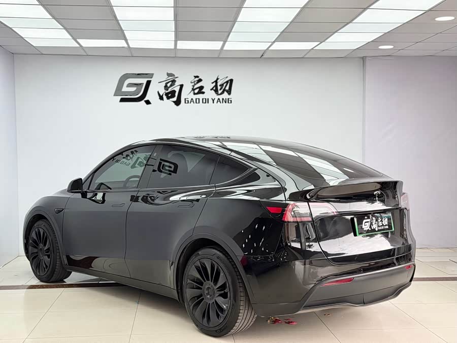 Tesla Model Y 2021 car image #31