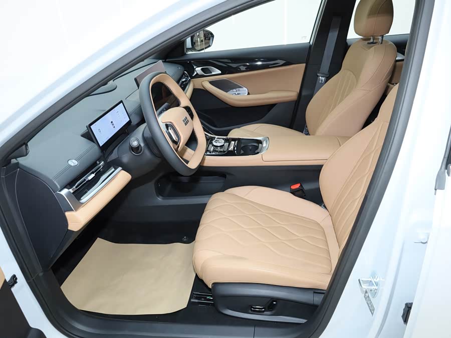 GEELY 2025 immagine di auto #31