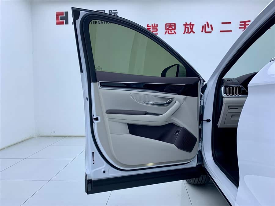 BYD Song Plus New Energy 2025 car image #31