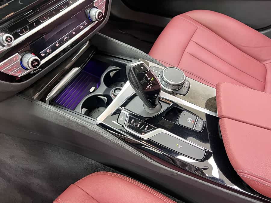 BMW 5 Series 2019 car image #31