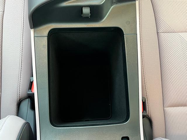 HongQi TianGong 05 2025 car image #31