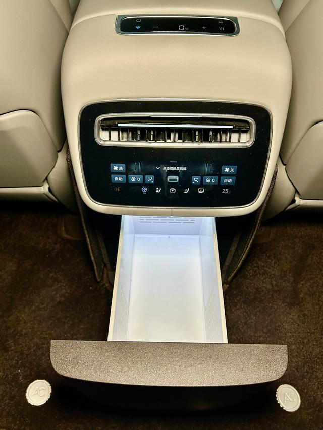 Denza N9 2025 car image #31