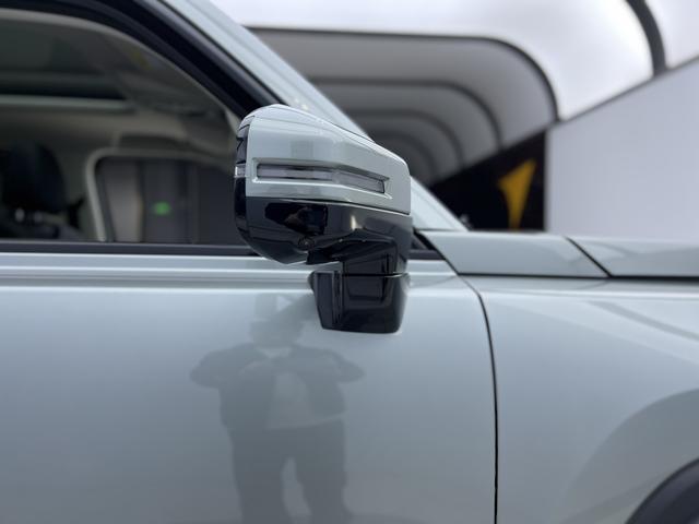 Haval Raptor New Energy 2024 car image #31