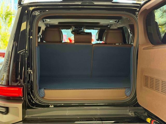 Tank 700 New Energy 2024 immagine di auto #31