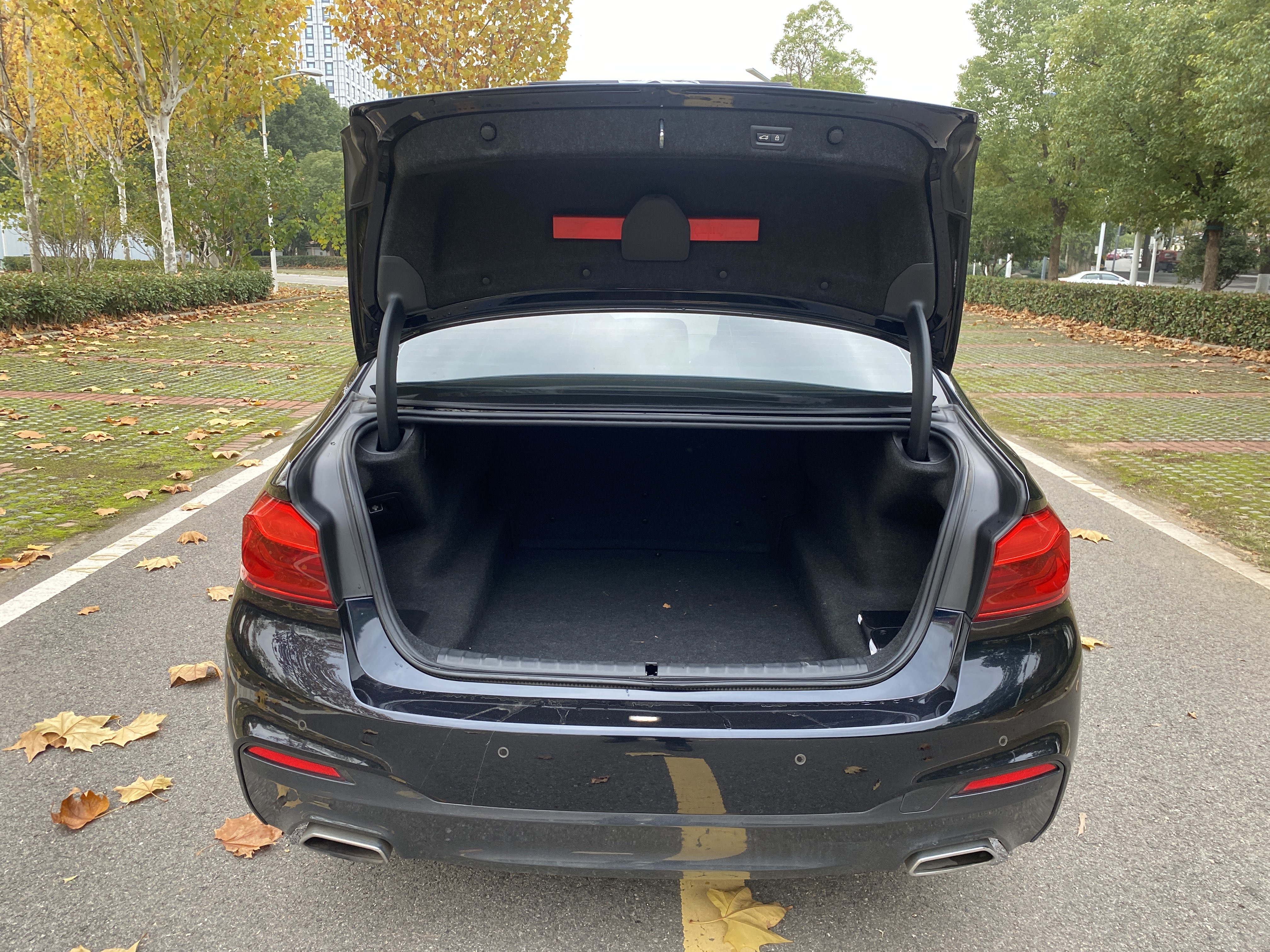 BMW 5 Series 2018 #31 BMW 5 Series 2018 car image #31
