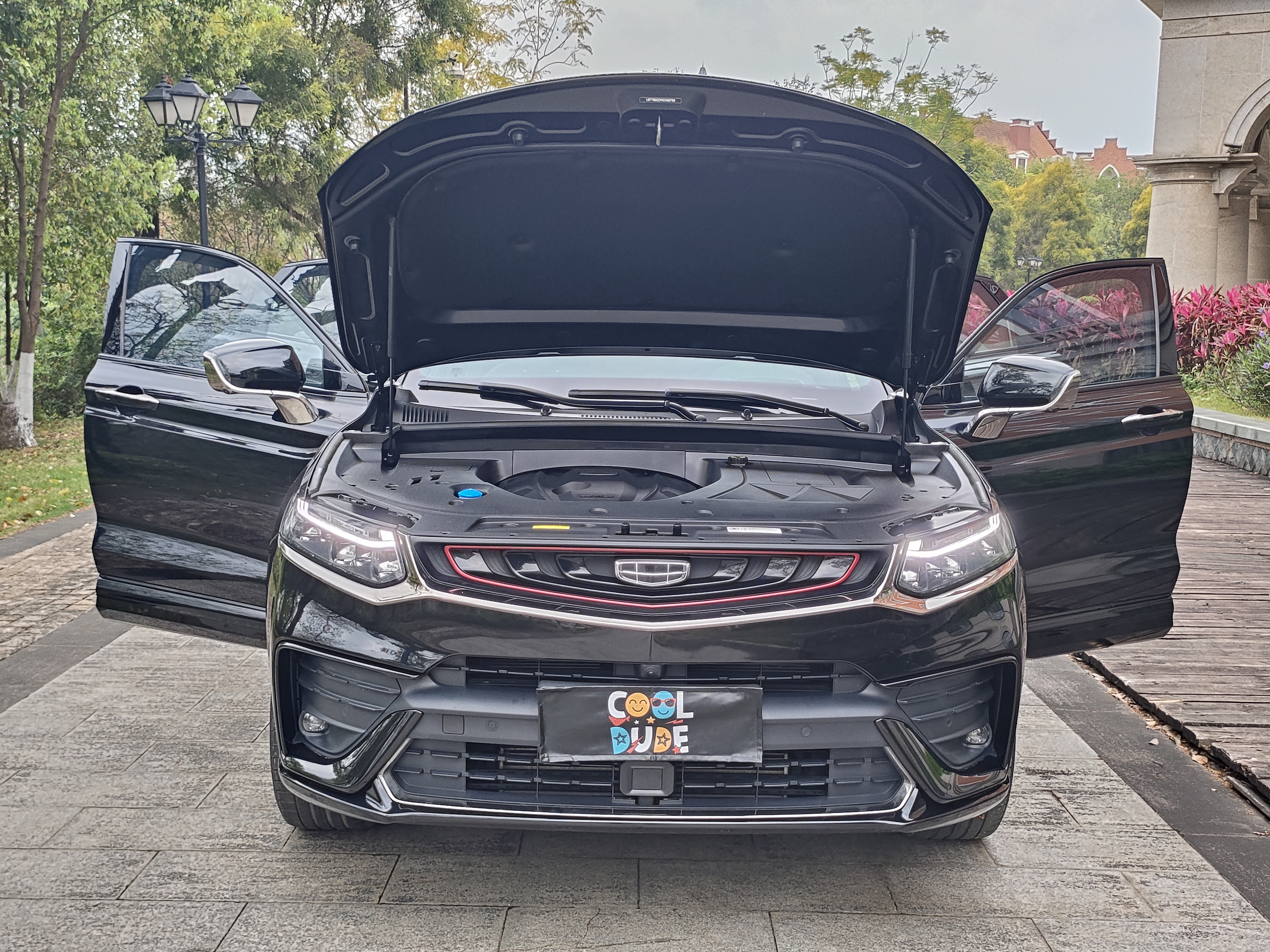 GEELY Tugella 2020 car image #31