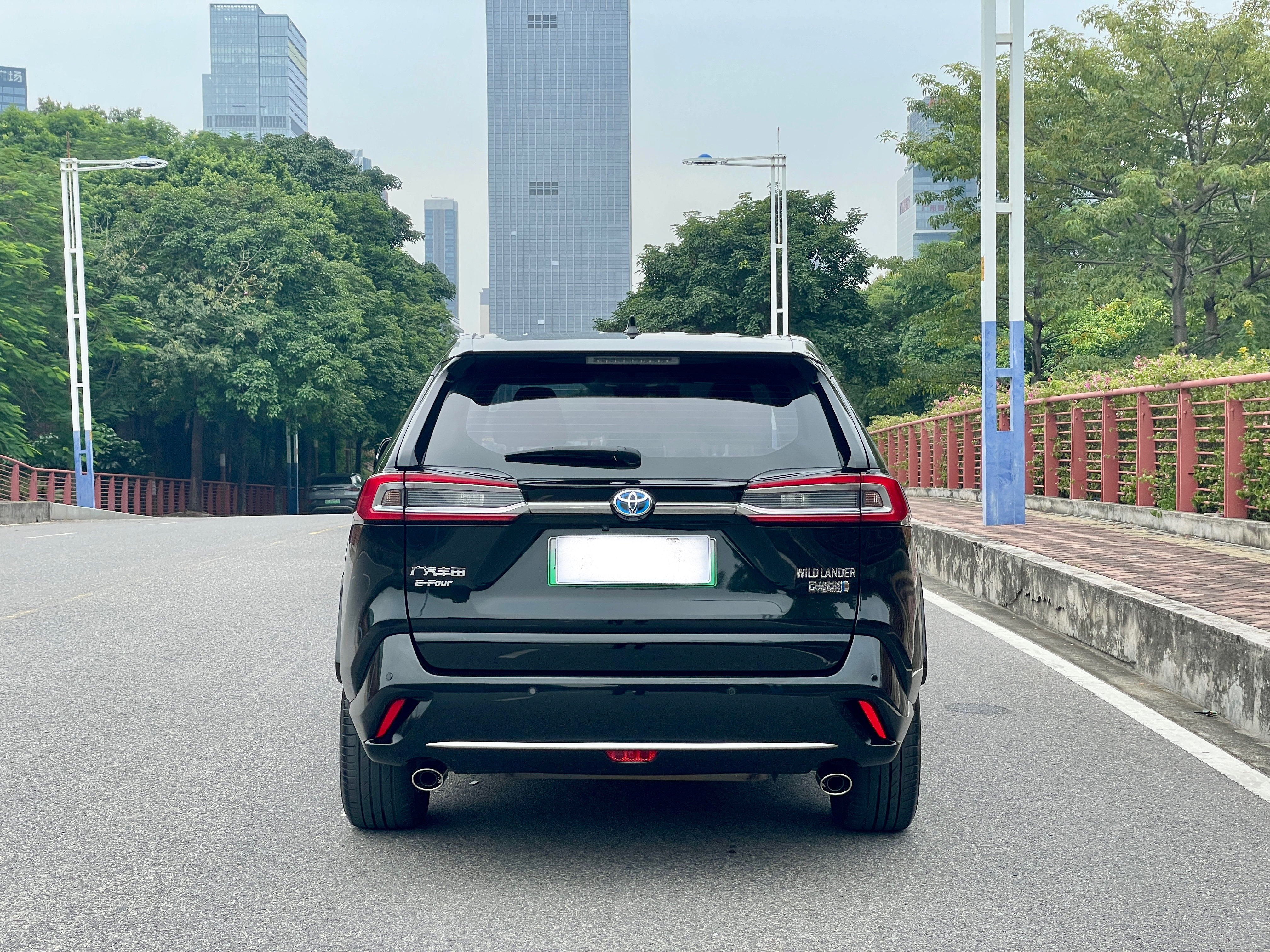 Toyota Wildlander New Energy 2021 #31 Toyota Wildlander New Energy 2021 car image #31