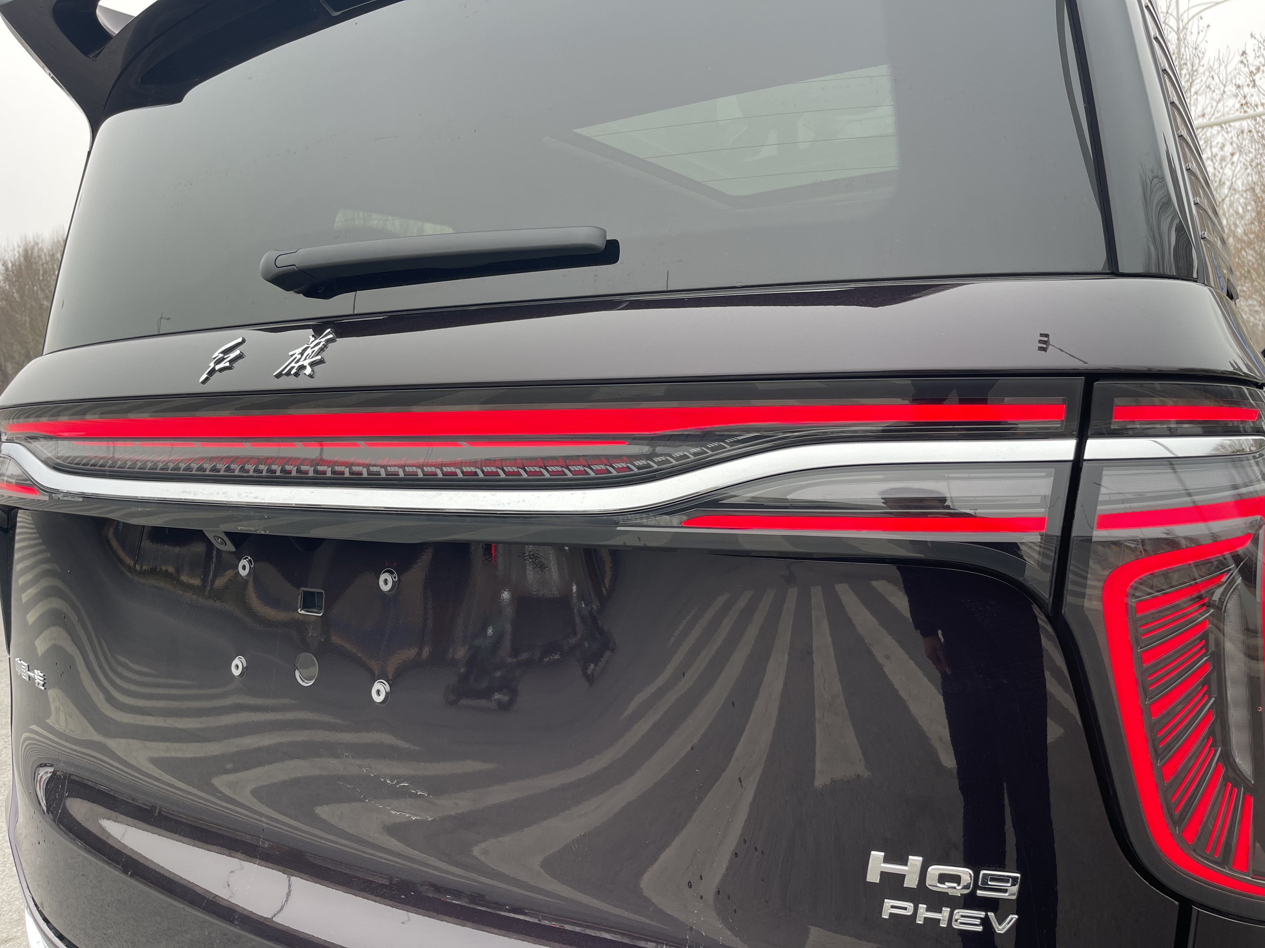 HongQi HQ9 PHEV 2024 car image #31