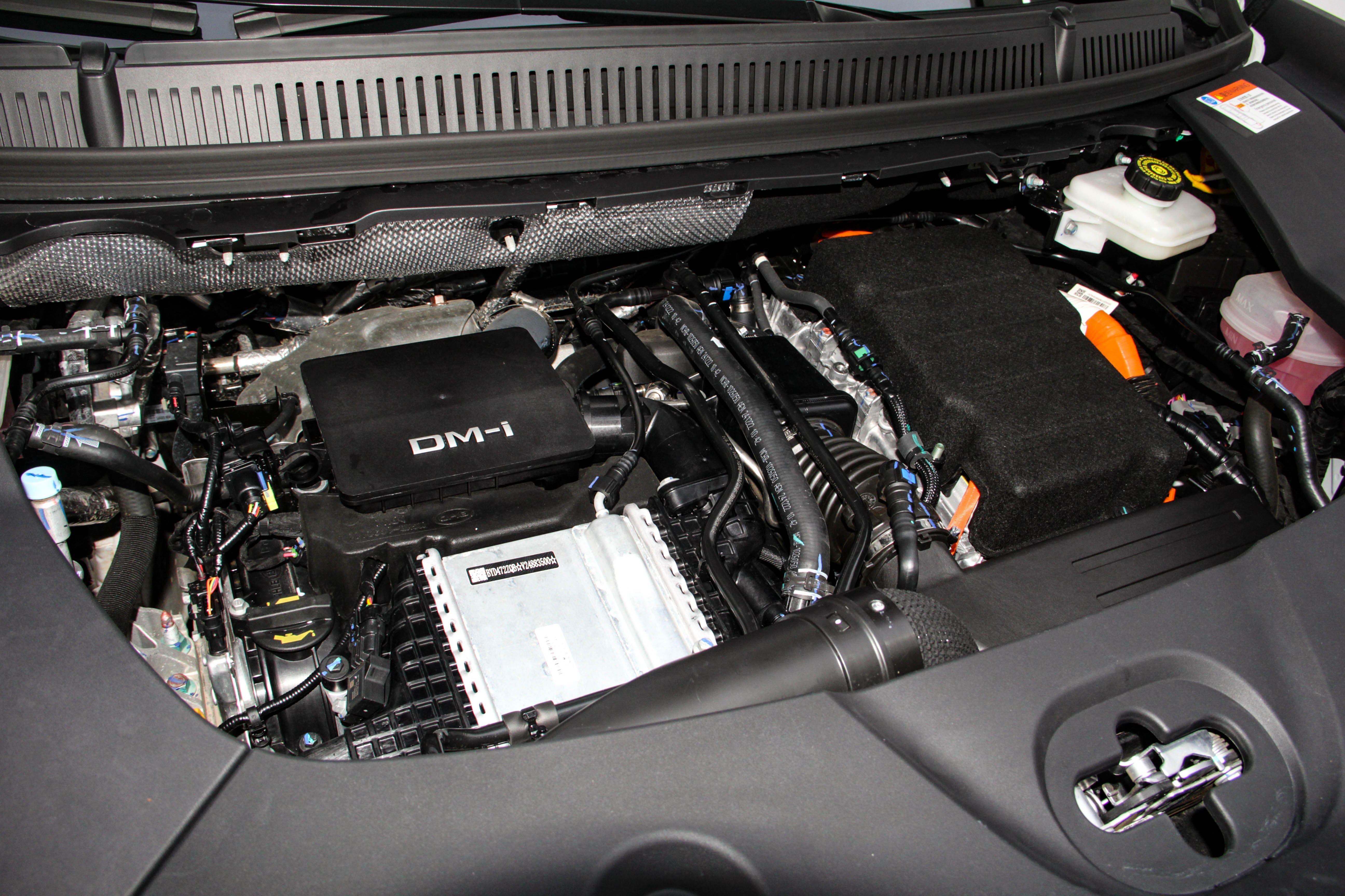 BYD Xia 2025 #31 BYD Xia 2025 immagine di auto #31