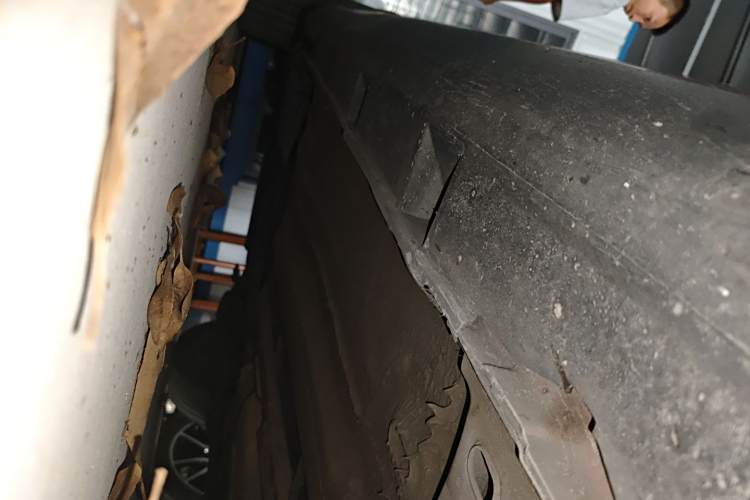 Ford Focus (Imported) 2014 #31 Ford Focus (Imported) 2014 صورة سيارة #31