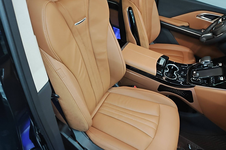 HongQi HQ9 PHEV 2024 immagine di auto #31