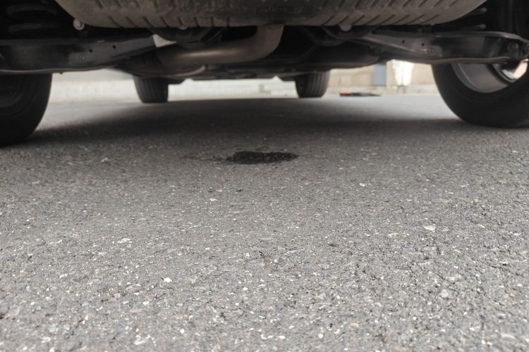 Volkswagen Tavendor 2023 car image #31