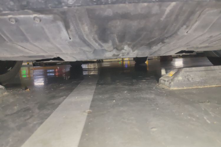 Ford Mustang Mach-E 2022 car image #31