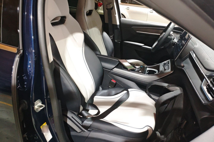 BYD Destroyer 05 2024 car image #31