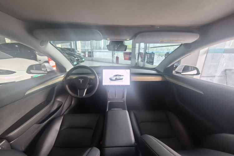 Tesla Model 3 2022 #31 Tesla Model 3 2022 صورة سيارة #31