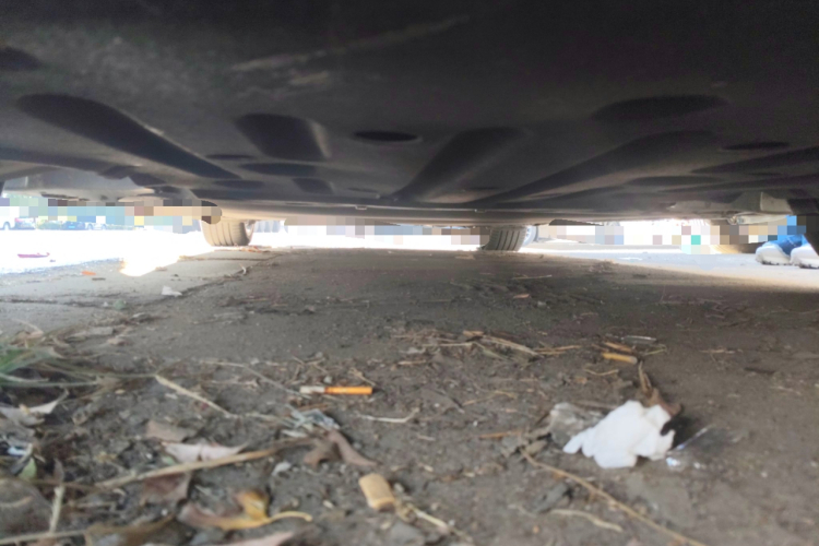 BYD Seal 2024 immagine di auto #31