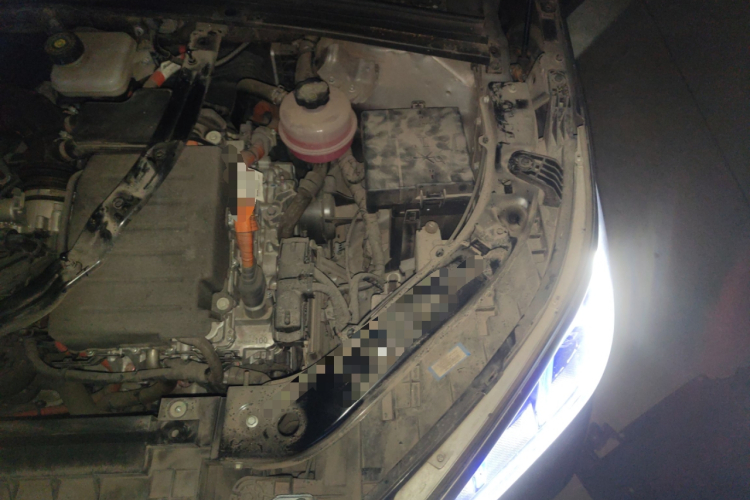 BYD Song Plus New Energy 2021 car image #31