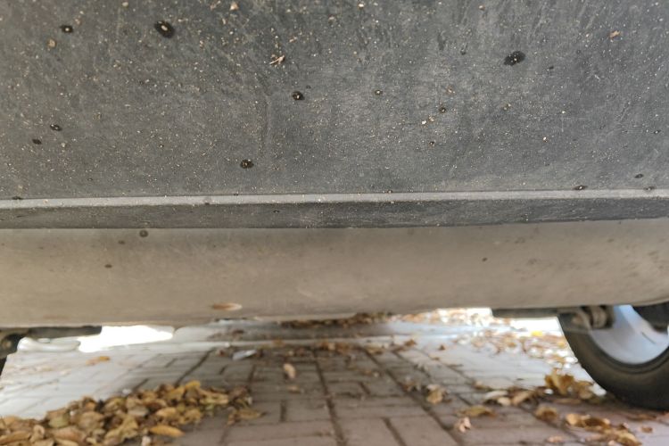 GEELY Emgrand L HiP 2022 car image #31