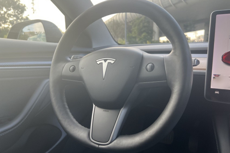 Tesla Model 3 2021 car image #31