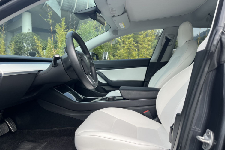 特斯拉 Model 3(进口) 2019 汽车图片 #31