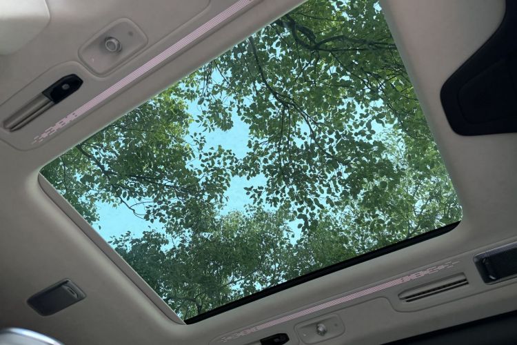 极氪 极氪009 2024 汽车图片 #31