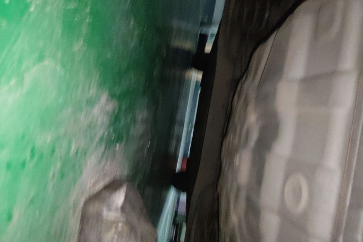 日产 轩逸·纯电 2019 汽车图片 #31