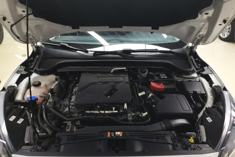 Ford Focus Active 2020 #31 Ford Focus Active 2020 صورة سيارة #31