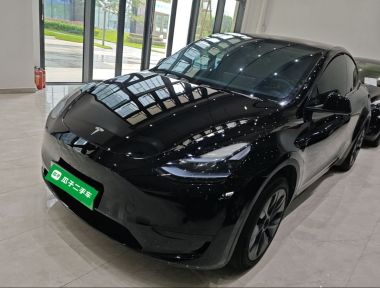 Tesla Model Y 2023 car image 
