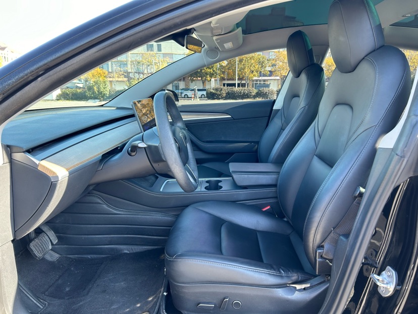 Tesla Model 3 2021 #7 Tesla Model 3 2021 car image #7