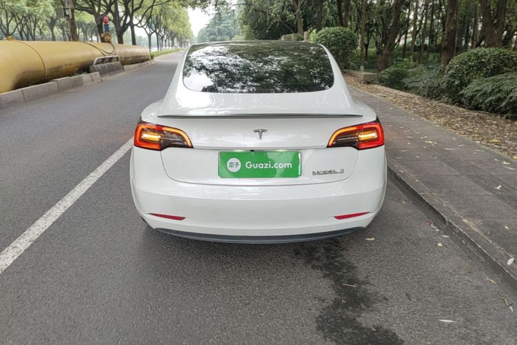 Tesla Model 3 2021 #4 Tesla Model 3 2021 immagine di auto #4