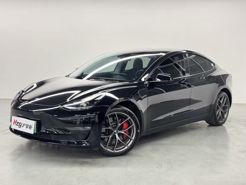 Tesla Model 3 2023 Tesla Model 3 2023 immagine di auto