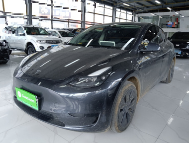 Tesla Model Y 2024 car image 